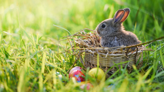 Eostre et la naissance du lapin de Pâques